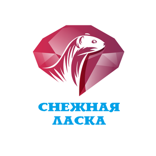 Статистика Дзен Унты и сапоги "Снежная ласка"