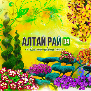 Статистика Дзен АлтайРай04 "Ёлочки-цветочки"