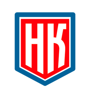 Статистика Дзен Народный Контроль