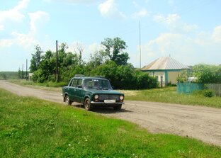Статистика Дзен В деревне Жемчужино