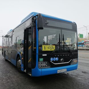 Дзен Транспорт Камчатского края!  статистика