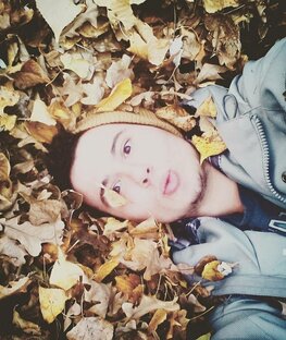 Дзен Записки зоотехника статистика