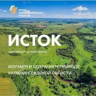 Статистика Дзен Исток Некоммерческий Фонд