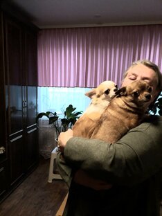 Дзен римма беляева статистика