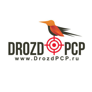 Статистика Дзен info@drozdpcp.ru