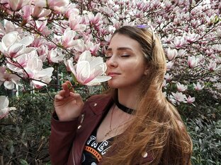 Статистика Дзен BonBon