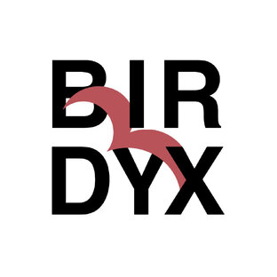 BIRDYX | Статистика и анализ данных | Excel