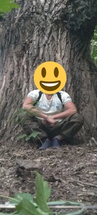 Статистика Дзен Наследие СССР