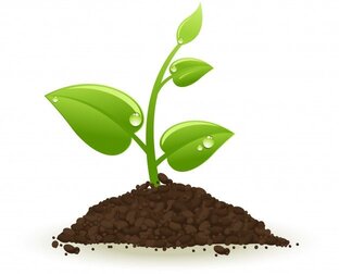 Дзен PaniLovesFlowers статистика