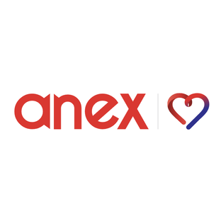 Статистика Дзен Anex Россия 