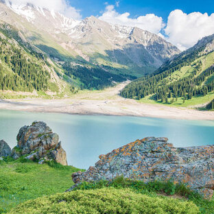 Дзен Мир и Отдых статистика