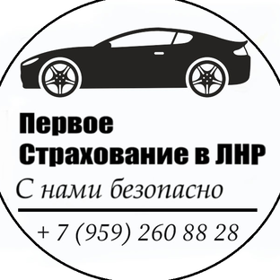 Статистика Дзен Первое Страхование в ЛНР | ОСАГО | Луганск 