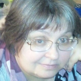 Статистика Дзен Ирина Анатольевна Ш.