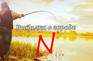 Статистика Дзен Рыбалка в городе N