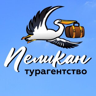 Статистика Дзен Елена Маслова