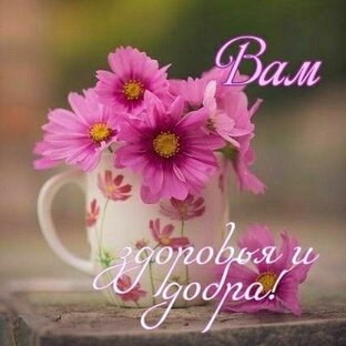 Статистика Дзен В гостях у Валентины!!!