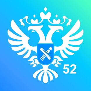Статистика Дзен Управление Росреестра НО