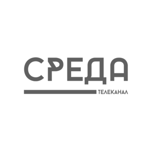 Статистика Дзен Телеканал СРЕДА