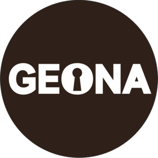 Статистика Дзен Двери GEONA