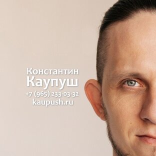 Статистика Дзен Константин Каупуш. Риелтор. Юрист.