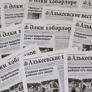 Статистика Дзен Алькеевские вести