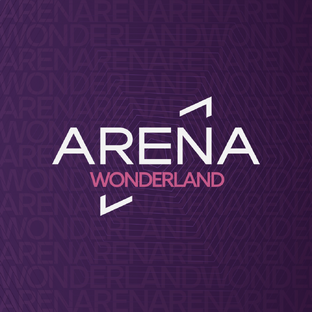 Статистика Дзен Wonderland VR-Pixel