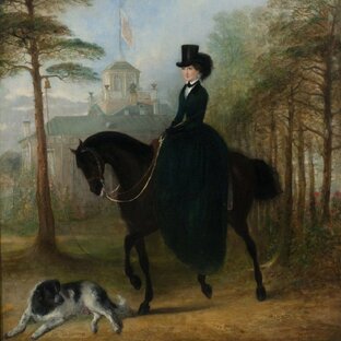 Дзен Аристократка статистика