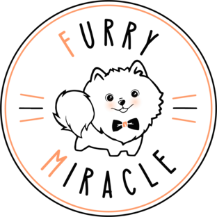 Статистика Дзен Студия комфортного груминга Furry Miracle