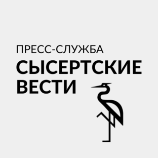 Статистика Дзен Сысертские Вести