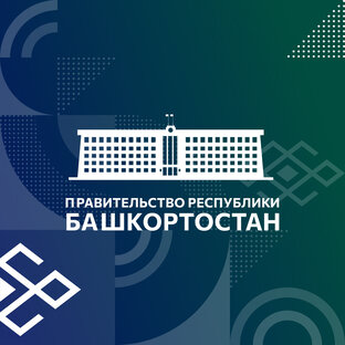 Статистика Дзен Правительство Республики Башкортостан