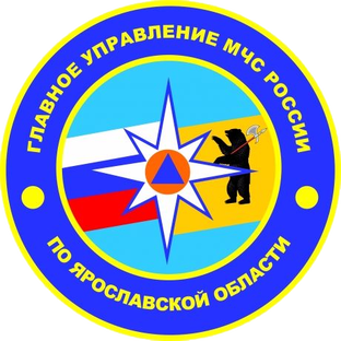 Статистика Дзен МЧС Ярославской области