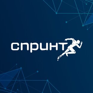 Статистика Дзен Акселератор Спринт