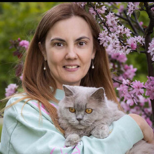 Статистика Дзен Лена и ее кошки