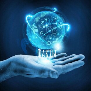 Дзен Факты 7ми дней статистика