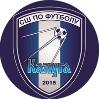 Статистика Дзен ГАУ ДО КО "СШ по футболу "Калуга"