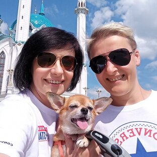 Статистика Дзен Две дамы на "Дастере", с нами собака!