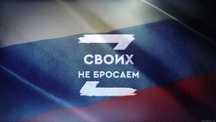 Дзен Своих не бросаем! статистика