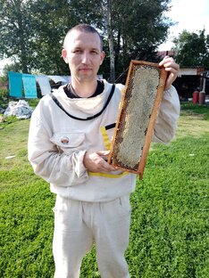 Статистика Дзен ПАСЕКА ДОЛГИХ