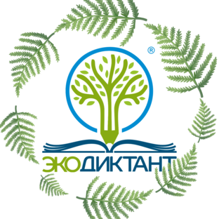 Статистика Дзен Экодиктант