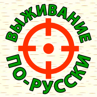 Статистика Дзен ВЫЖИВАНИЕ ПО-РУССКИ