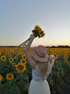 Дзен Дача или жизнь в деревне  статистика