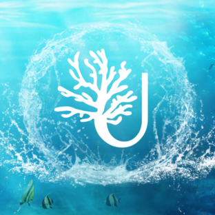 Статистика Дзен AQUARIAL / студия аквариумистики