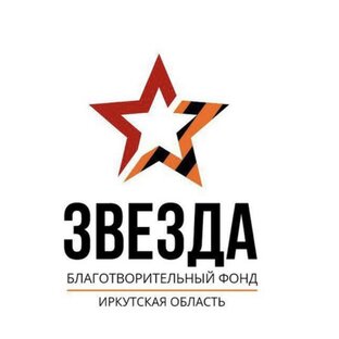 Статистика Дзен Звезда. Фонд Помощи
