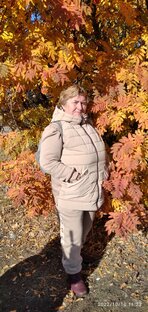 Статистика Дзен Провинциалка с Южного Урала