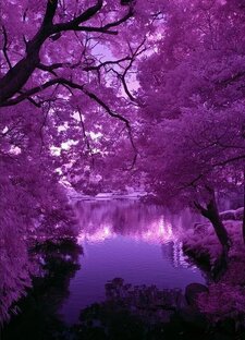 Дзен Nastxik статистика