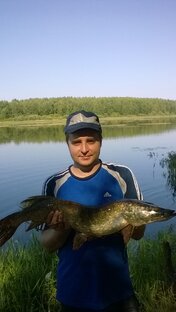 Статистика Дзен Ловим67