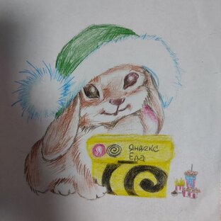 Дзен Солевая берлога статистика