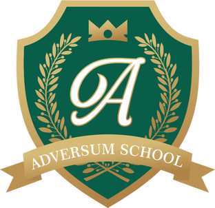 Статистика Дзен Adversum school