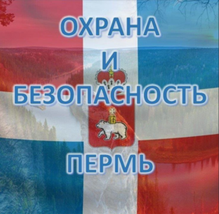 Статистика Дзен Охрана и Безопасность Пермь