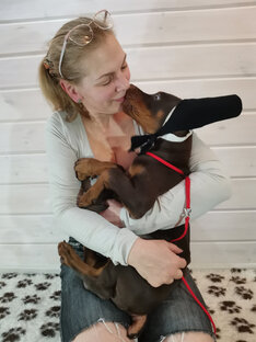 Статистика Дзен laralove_doberman